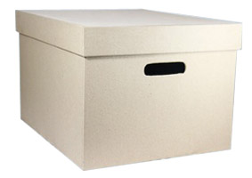 storage box for organizing office documents and files